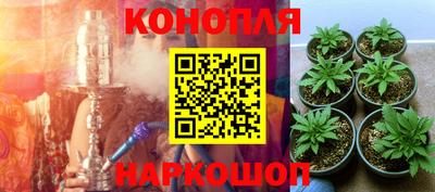 соль ск Гусиноозёрск